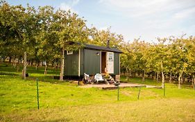 Harrys Hideout - Shepherd'S Huts At Harrys Cottages