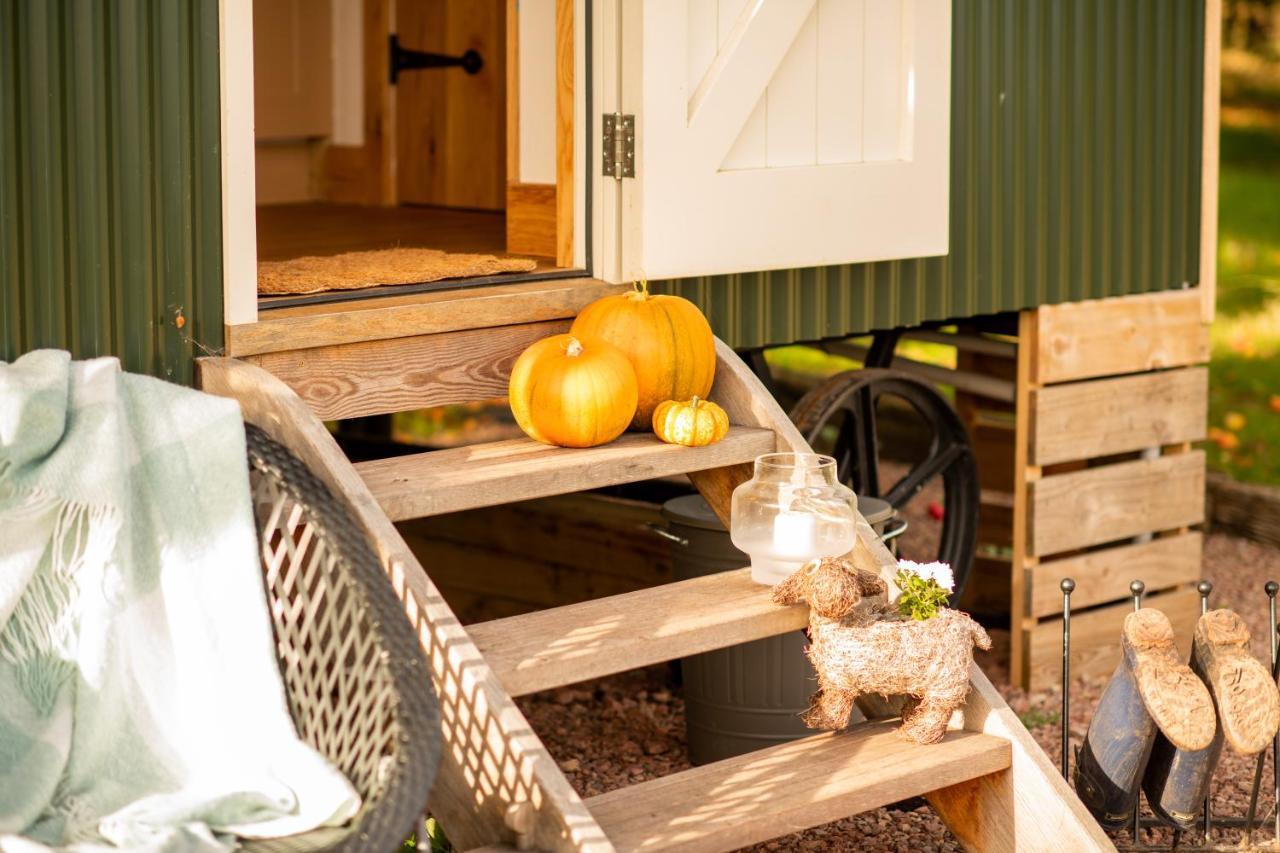 Harrys Hideout - Shepherd'S Huts At Harrys Cottages Pen-y-Clawdd Exterior photo