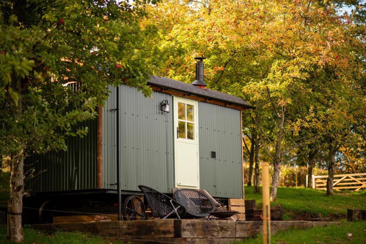 Harrys Hideout - Shepherd'S Huts At Harrys Cottages Pen-y-Clawdd Exterior photo